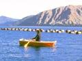 Marlborough Sounds mussel farm