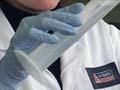 Testing mussels for toxins