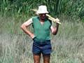 Cordgrass control