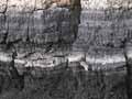 Ash layer, Chatham Islands 