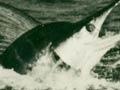 Swordfish broaching