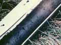 Sediment core