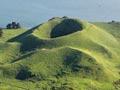 Motukorea – Browns Island, Hauraki Gulf