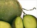 Green potatoes
