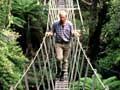 Swing bridge