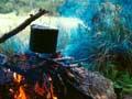 Boiling a billy