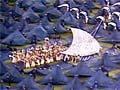 Commonwealth Games opening ceremony