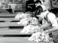Video: Wool classing