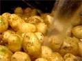 Processing organic vegetables