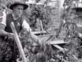 Video: Hop picking