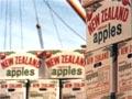 Apple exports