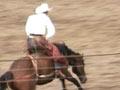 Rodeo national finals