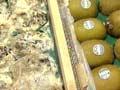 Video: Investigating grey mould rot