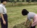 Experiencing farm work