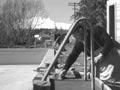 Video: Ohakune working bee