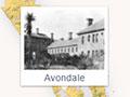 19th-century mental hospitals and asylums 