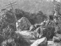 Impact of the Murchison earthquake