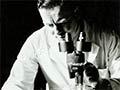 Dr John Salmon at the Dominion Museum, c. 1949