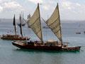 Tuia 250 flotilla, 2019