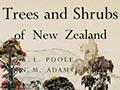 <em> Trees and shrubs of New Zealand</em>