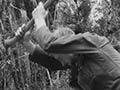 Going bush