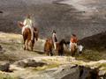 The Southern Alps