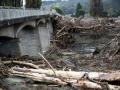 Forestry slash