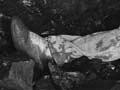 Pick-and-shovel mining 