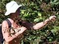 Audio: Blackberry patch