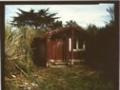 Exterior of the carved meeting house Rangikurukuru near Dargaville