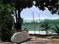 First wave, Thailand, 2004