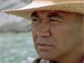 <em>Whale rider</em> – a proverb