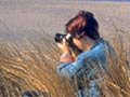 Observing birds at Farewell Spit