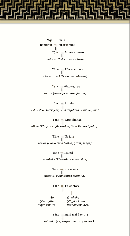 Genealogy of trees