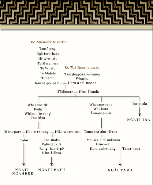 <em>Nukutere</em> canoe genealogical charts